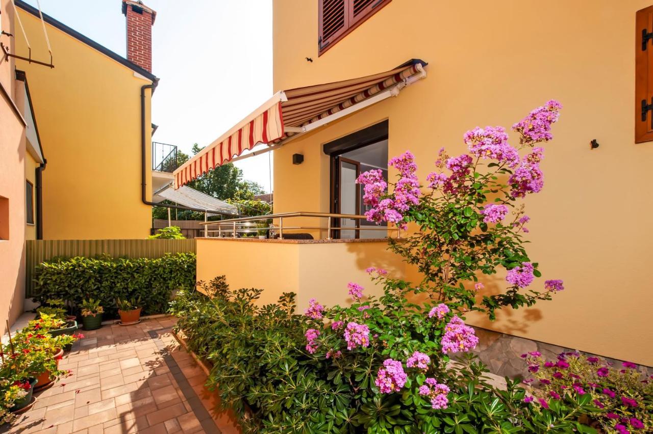 Apartment Casa Leona *